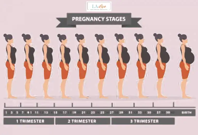 First Trimester (Weeks 1–12): Early Changes You Might Not Notice Bexhill